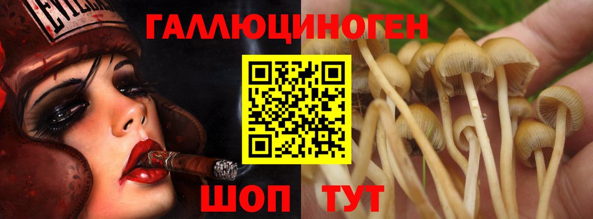 Меф МЯУ МЯУ   Каннабис  Cocaine  ЭКСТАЗИ  Вход с VPN  Асино  ГАШ 